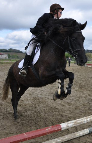 disciplines