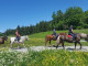 IMG-20210627-WA0003
